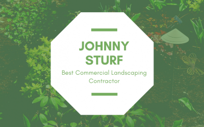 Commercial Landscape Maintenance Contractors Jacksonville