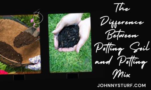 Potting Soil Vs. Potting Mix: What’s The Difference? | Johnnysturf