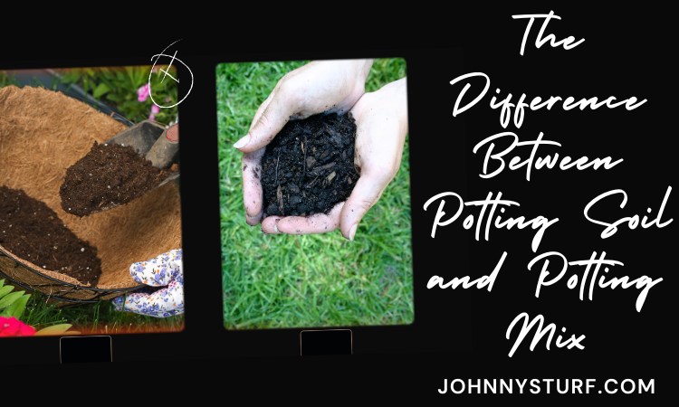 Potting Soil vs. Potting Mix: What’s the Difference?