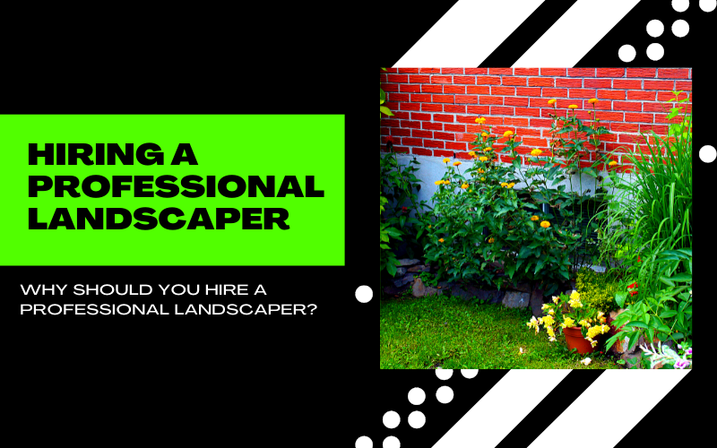Why Should You Hire a Professional Landscaper?