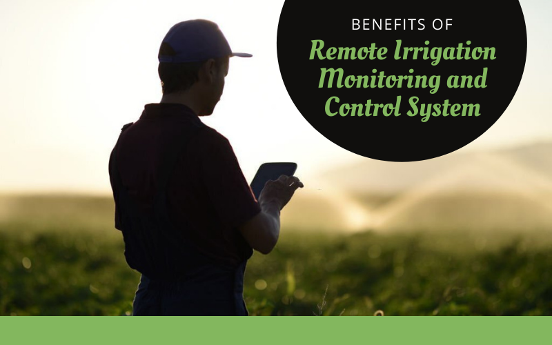 remote irrigation monitoring and control system