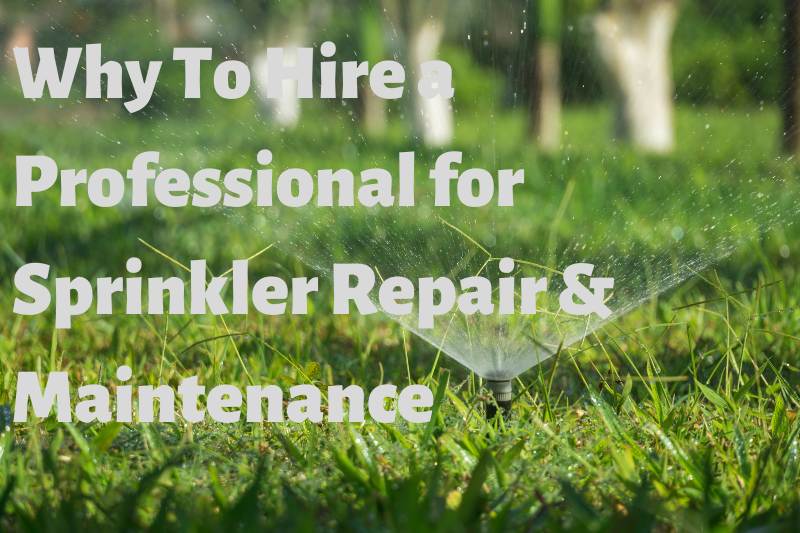 Sprinkler repair maintenance