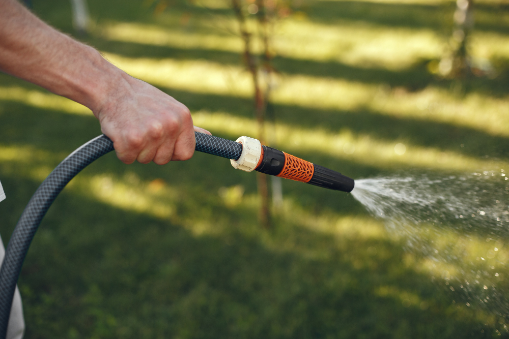 lawn care service in St. Augustine