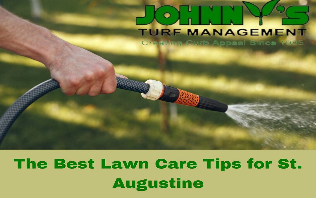 Lawn Care Tips for St. Augustine