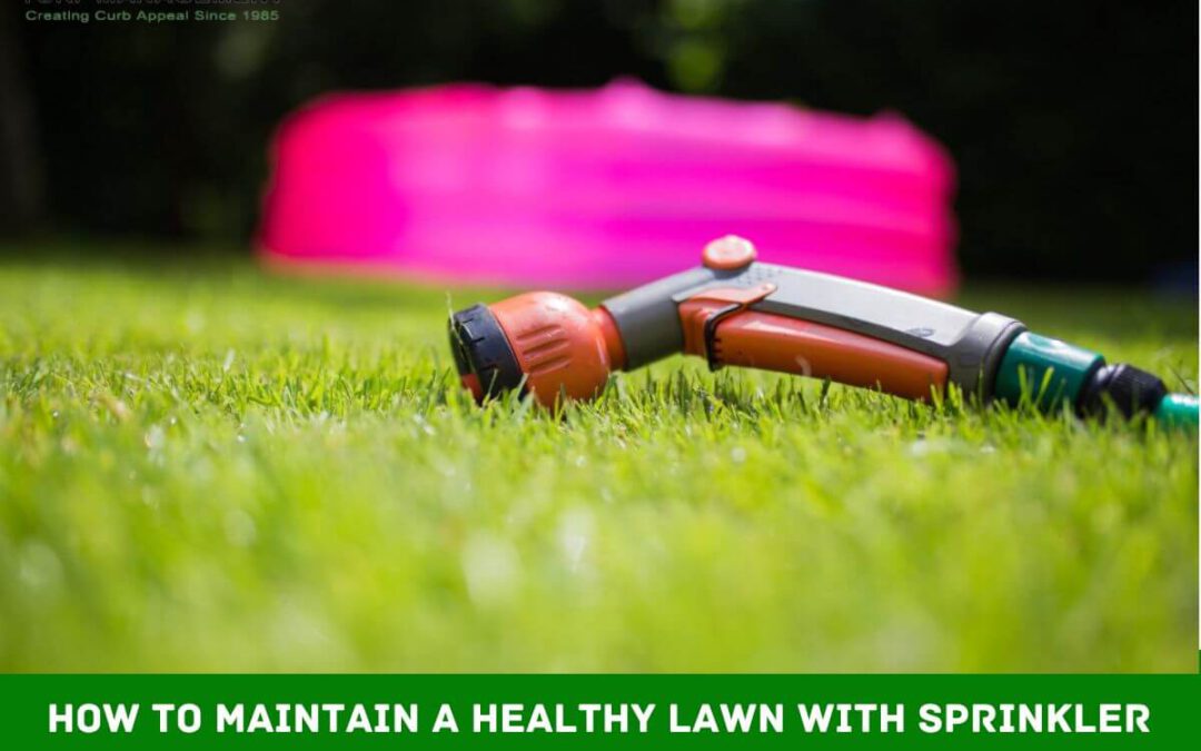 How to Maintain a Healthy Lawn with Sprinkler Repair in Jacksonville Florida