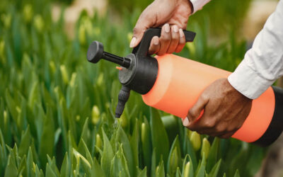 Watering Wisdom: Exploring Top-notch Irrigation Services in Jacksonville