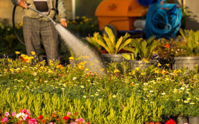 Lawn Perfection: Choosing the Best Lawn Sprinkler Repair in Jacksonville, FL