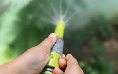 Troubleshooting Guide: Common Issues with Sprinkler Systems in Jacksonville