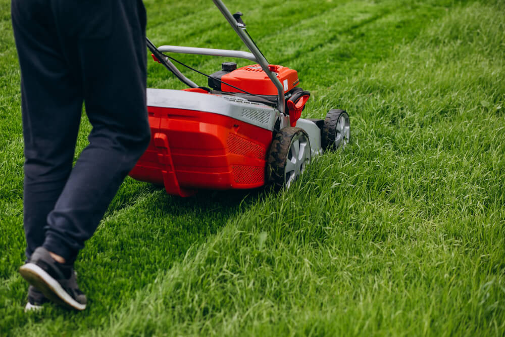 landscape maintenance in St. Augustine